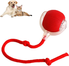 Rollraptor Interactive Pet Toy Ball-Sale💥