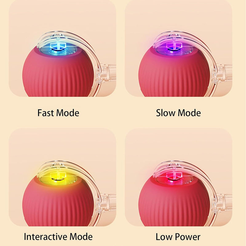 Rollraptor Interactive Pet Toy Ball-Sale💥