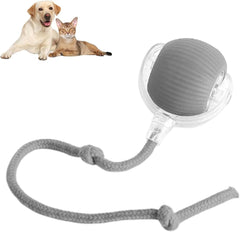 Rollraptor Interactive Pet Toy Ball-Sale💥