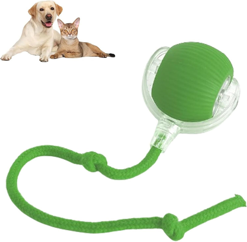 Rollraptor Interactive Pet Toy Ball-Sale💥