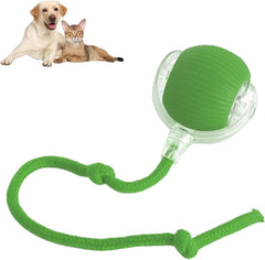 Rollraptor Interactive Pet Toy Ball-Sale💥