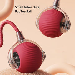 Rollraptor Interactive Pet Toy Ball-Sale💥